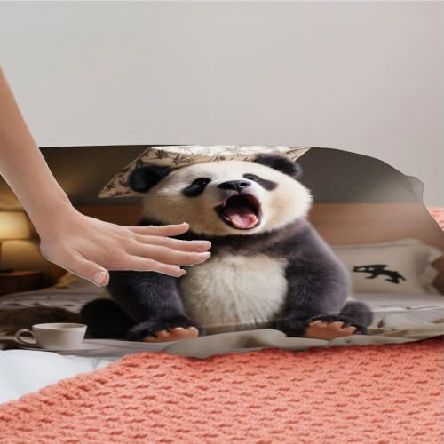 Housse de couette 240x260 panda sobre et raffinée en microfibre chic