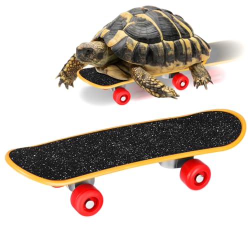 Yardwe Pet Scooter Schildkröte Spielzeug Skateboard Eidechse Skateboard Reptilien Skateboard Schildkröte Skateboard Spielzeug Kleine Haustiere Spielen Training Spielzeug Sittich Skateboard Mini