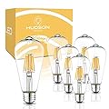 HUDSON BULB CO. Vintage LED Edison Light Bulbs, 60W Equivalent, E26/E27 Base, 2700K Soft White, Dimmable, ST58 Style Decorative Lights - 6 Pack