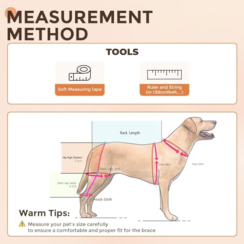 Image of Adjustable Support Dog ACL Brace Hind Leg,Both Leg-Upgraded-Custom