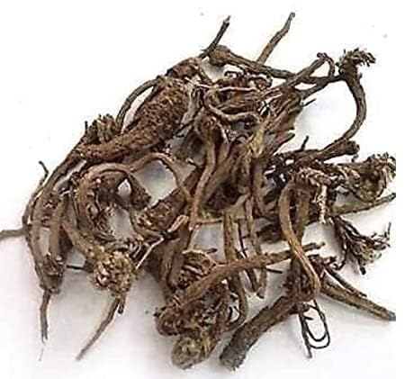 Hemani Enterprises Safed Aak Plant Root 60gm, Aak ki jad