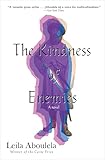 The Kindness of Enemies: A Novel