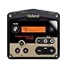 Roland TM-2 Acoustic Drum Trigger Module