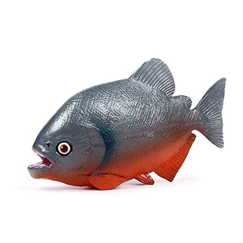 C̐̂LbYvX`bNC̓tBMAIȊCmT^RfFmߋ