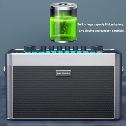 Máquina de karaokê Com 2 Microfones Sem Fio, Placa de Som Alto-falanteTudo Em um, Portátil para Adul