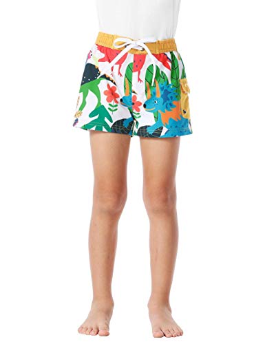 Image of Nonwe Men's Beachwear Quick Dry Striped Board Shorts