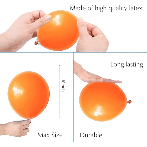 Image of Party Propz Latex,Cardstock Halloween Balloons-Pack Of 50|Black&Orange Balloons For Halloween Decorations|Halloween Decorations Balloons|Halloween Party Balloons|Halloween Theme Balloons