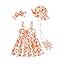 Orange Daisy