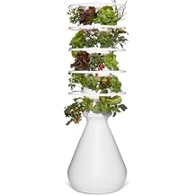 Lettuce Grow Farmstand Starter Kit with Glow Rings + 30 Seedling Credits | 5 ft Vertical Hydroponic Garden Tower | Self-Watering Family Growing System for Vegetables, Herbs & Greens