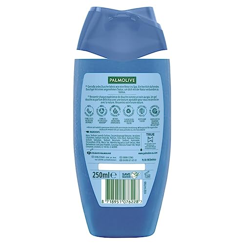 Palmolive Duschgel Thermal SPA Mineral Massage 6×250 ml