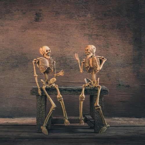 3. Who are you? What is your environment?