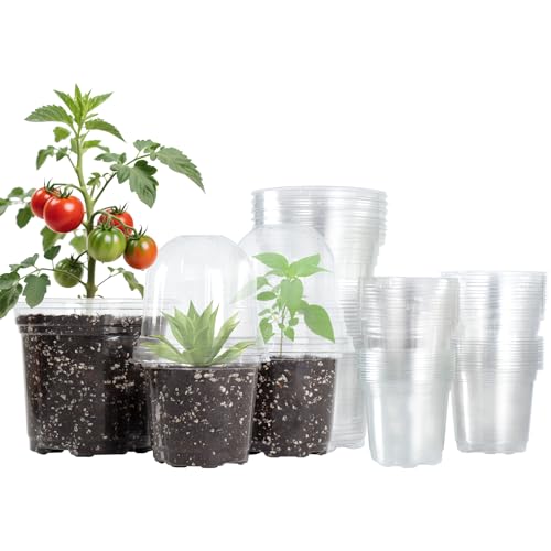Bluepro Clear Nursery Pots with Humidity...