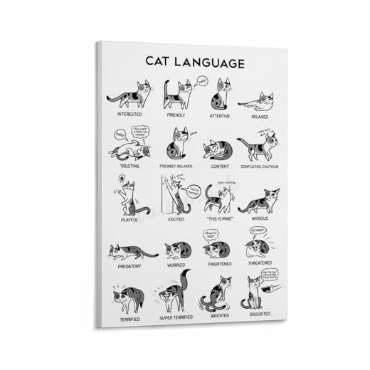 Cat Language Knowledge Poster for Decor