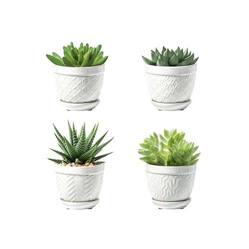 Sureasy Succulent Pots, 3.5 Inch Flower Pots for Indoor Plants, Small Plant Pots with Saucer & Drainage, Decorative Ceramic Planters for Succulent, Cactus, Set of 4, White by Sureasy HOME & KITCHEN - Used condition - US$21.66
