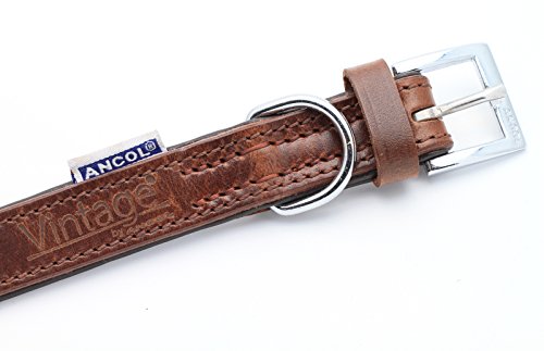 Feines personalisiertes gepolstertes Lederhalsband für Hund | Schaffen Sie Ihr einzigartiges Tierkennzeichen | Lasergravur