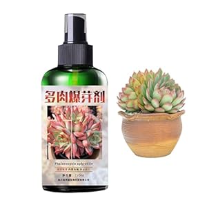 Yabauuop Sukkulenten-Kaktusdünger 150 ml