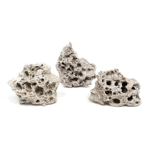 `󂨔C Ì kTCYiPW`QRj R ANAE CAEgf