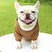 Tonsee Haustier Hundepullover kleine Hunde Mittlerer Hund Kapuzenpullis Hundepullover Hoodie Hunde Pullis Welpen Jacke Hunde Klamotten Warmer Wintermantel Haustier Kleidung Fleece Sweater (Braun, S)