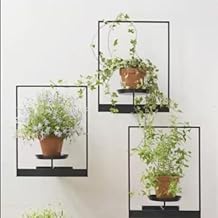 Bamworld Hanging Planter