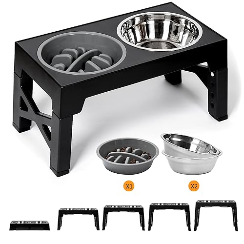 Foreyy, ciotole per cani elevate, regolabili con 2 ciotole in acciaio inox e 1 ciotola bassa, 5 altezze, non-slip Dog Food Water Bowl Stand for Small Medium Large Dogs (Black)..