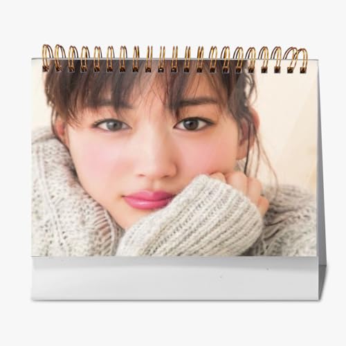 2026N J_[ ͂邩 17 pI VN LO 2025.9-2026.12 