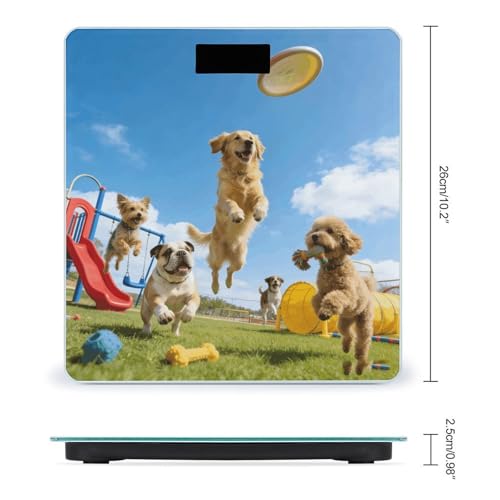 Báscula digital para baño Dog Park con sensores precisos miniatura 2