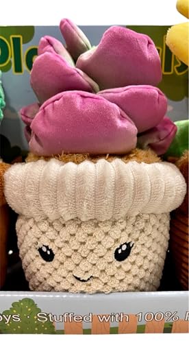 3-Pack de Juguetes de Peluche para Perros miniatura 6