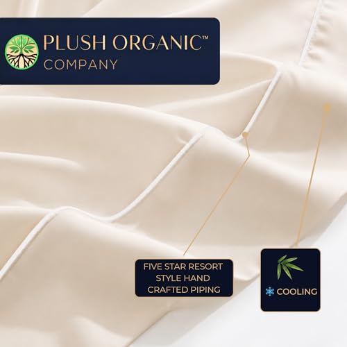 Image of Queen Luxury 4 Piece Bedsheet Set, Ivory with White Piping, Cooling Resort Bedding, Deep Pockets, Ultra Soft, Viscose derived from Bamboo, Organically Grown, 300 Thread Count