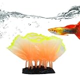 Photo Gallery zibeem decorazioni per coralli del pesce, corallo artificiale acquario,acquario paesaggio - coralli colorati, ornamenti tematici di decorazioni per piscina, giardinaggio Photo Gallery zibeem decorazioni per coralli del pesce, corallo artificiale acquario,acquario paesaggio - coralli colorati, ornamenti tematici di decorazioni per piscina, giardinaggio