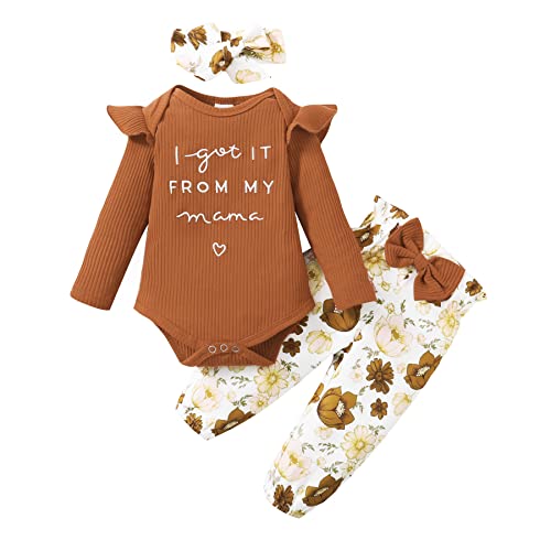 Image of DISAUR Baby Girls Clothes Newborn Infant Baby Girls Outfit Long Sleeve Ruffle Romper Floral Pants Headband Sets 0-18 Months