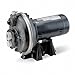 DAYTON 4RK03 Pump, 1/2 HP
