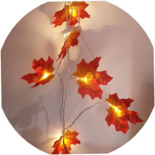 Nicedier Lichtsnoer, 30 leds, verlicht, Apple Leaf lichtketting, waterdicht, valbestendig, seizoensdecoratie voor… - Afbeelding 4