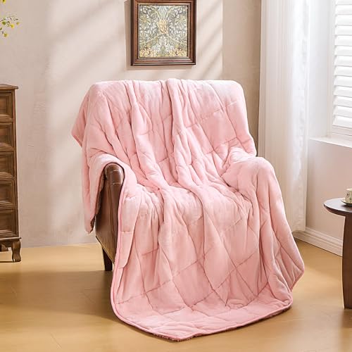 Super Fuzzy Soft Sherpa Fleece Weighted Blanket, 12 lbs Dual Sided Fluffy Heavy Weighted Blankets for Adults - No Bunching with Double Layers of Soft Inner Lining (48"x 72", 12 Pounds)