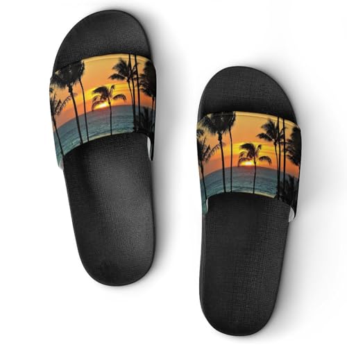 [ZKCASA] Xbp nC [ CƃV̖  [V[Y jp  T_ y OJ ~ 􂦂 p qp Cp v[g 41 (255mm)