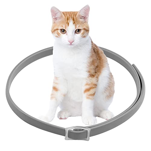 Collar de para Gato, Collar/Perro Gato, Tamaño Ajustable Resistente al Aqua (8 Meses) Cover