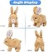 Asslye Elektrischer Osterhase Plüschtier, Interaktives Kaninchen mit Geräuschen & Beweglichen Ohren, Hüpfendes Spielzeug für Ostergeschenk, Krabbelnder Stoffhase für Kinder ab 1 2 3 Jahre