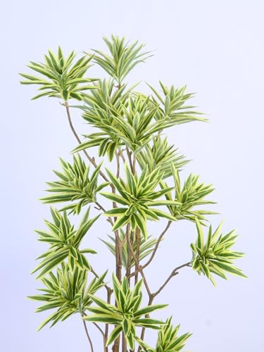 Image of ARICK DECOR 5.6ft Artificial Dracaena Reflexa Tree - Large Faux Lush Peacock Shaped Floor Plant with Black Pot for Indoor Home Office Decor - 170cm Green