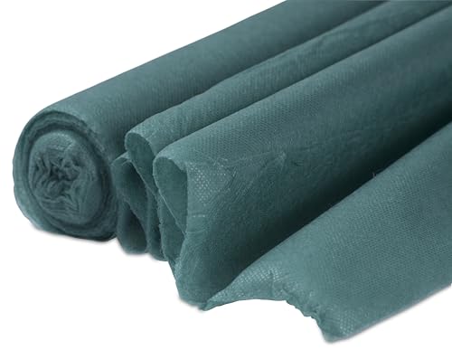 Windhager Voile d´hivernage décoratif DEKO, Protection hivernale, Stable aux UV, 10 x 1,6 m, Vert, 07919