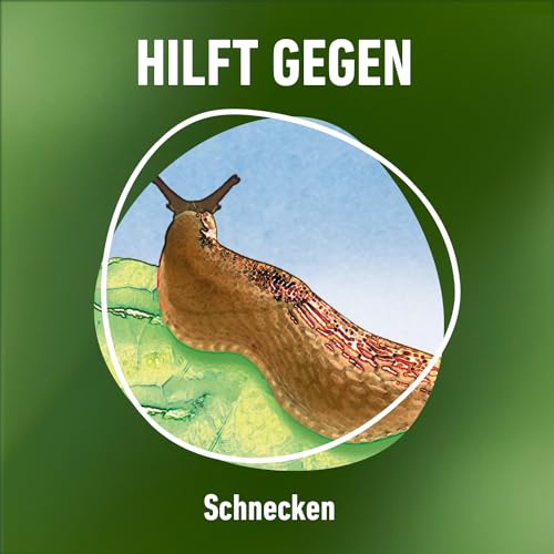 Compo Schnecken-frei, Streugranulat, Regenfest, für bis zu 1800 m², 4x225 g (900 g) – Ansicht 6