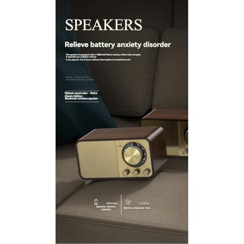Radio FM avec réception transistor portable Bluetooth rétro rechargeable