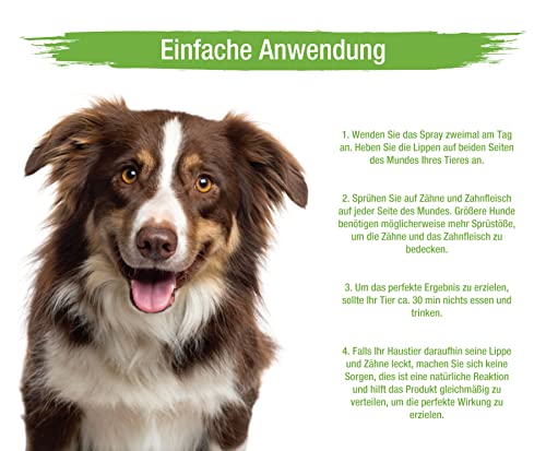 MC-Royal NEU Dental Care Spray für Hunde & Katzen - Zahnreinigung, Zahnpflege Hund, Dentalspray gegen Mundgeruch, Zahnsteinentferner Hund, zahnbürste Hund