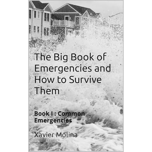 The Big Book of Emergencies and How to Survive Them by Xavier Molina, Ayshe Molina episode artwork