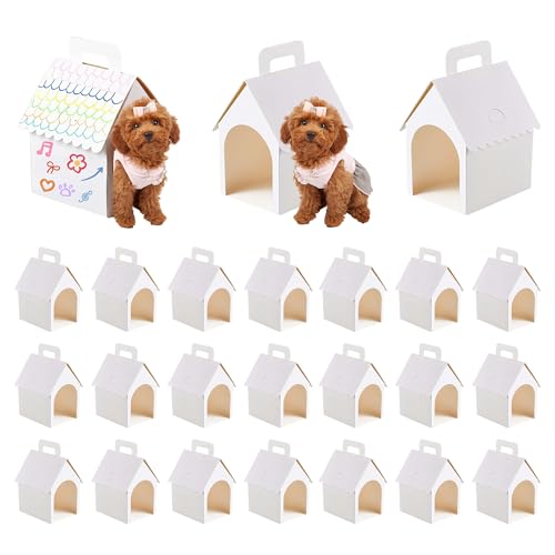 Boîtes cadeaux maison pour adoption d'animaux factices et fêtes d'enfants