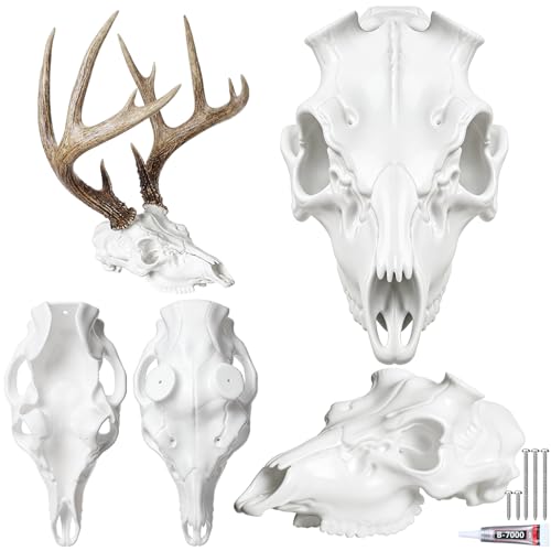 SiliFine Antler Mounting Kit European Mount Skull Hanger Deer Skull Mount Kit White 3D Modeled Replica Antler Compatible with Harvested and Shed Antlers Wall for Home Winter Decoration Gifts (1 Pack)