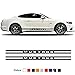CGFZNUB Autocollant de Jupe de Rayures latérales de Porte Graphique de Corps décalque de Vinyle de Fiber de Carbone, pour Ford Mustang 2009-2020 GT Shelby
