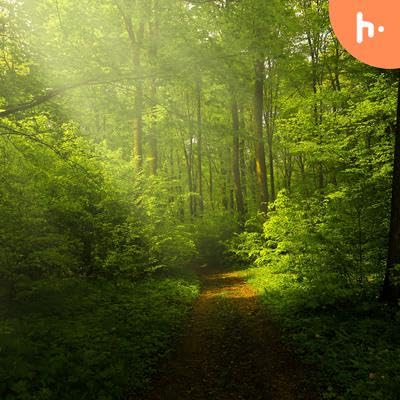 How to find your life End Goal