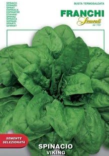 Italian Heirloom Spinach - Viking