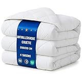 Amazinggirl Couette 200x200 cm - edredon Toutes Saisons 1 ou 2 Personne et couettes pour lit sans Housse Blanche en Microfibre 200 x 200 cm Oeko-Tex