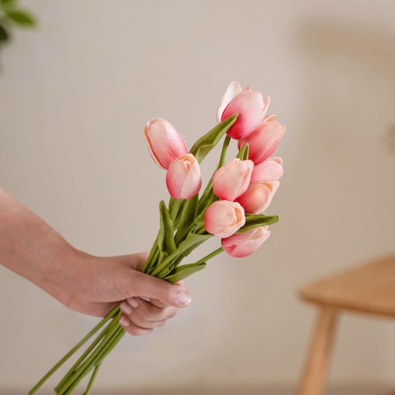 Spring Flower Tulip Live Bulbs (5 Healthy Live Bulbs)-image-7