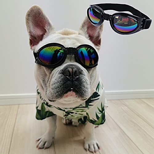 y24HOURSz TOX ybgp S[O ANZT[ RXv RX`[ ^ ^ ^ ߉\  t`uhbN S[O qUVی CX^f  킢 C 